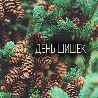 23 августа, мы отмечаем один из самых уютных и ароматных праздников — День шишек!  Кажд...