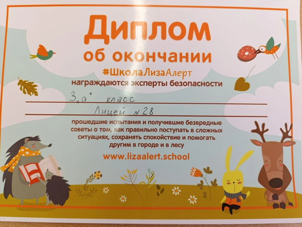 30 апреля в 3а классе прошла встреча с инструктором Лиза Алерт в формате живого диалога и игры, чтоб