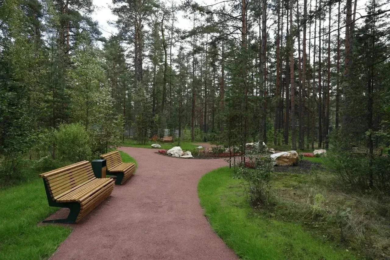 🌳 В Комарово открыли новое пространство для отдыха.