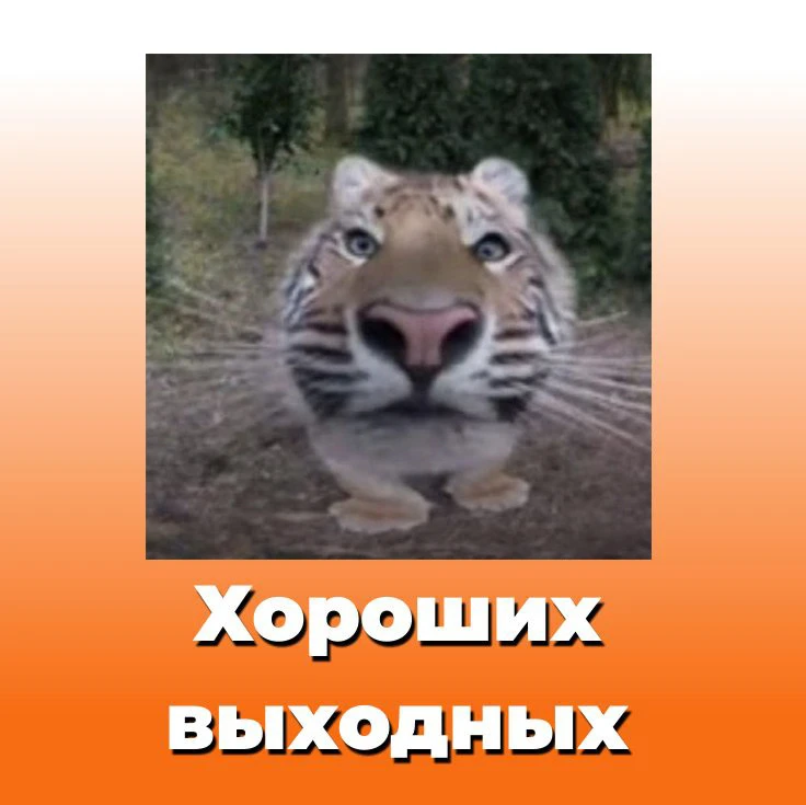 Хороших выходных!