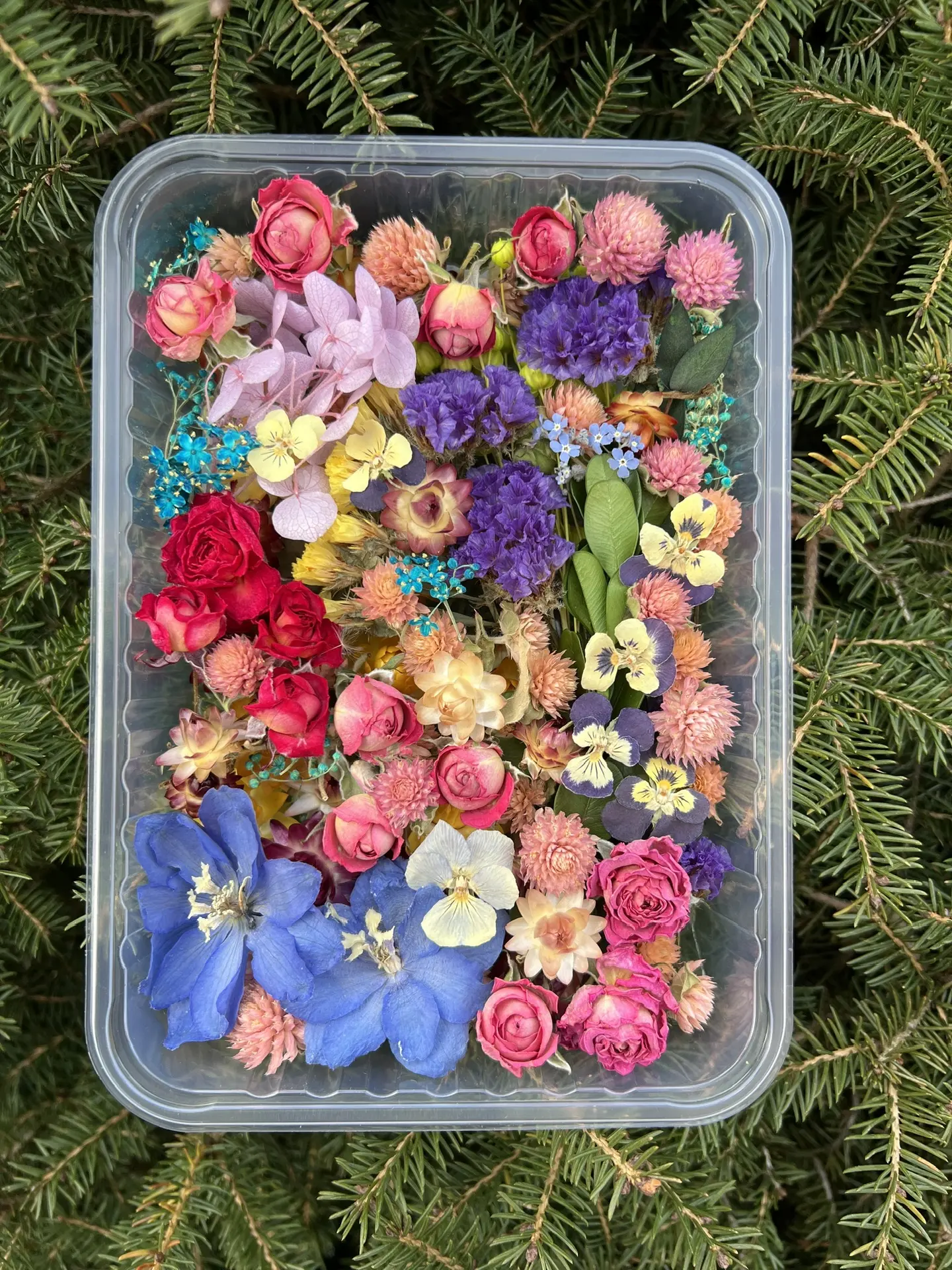 Новые наборы микс 🌿