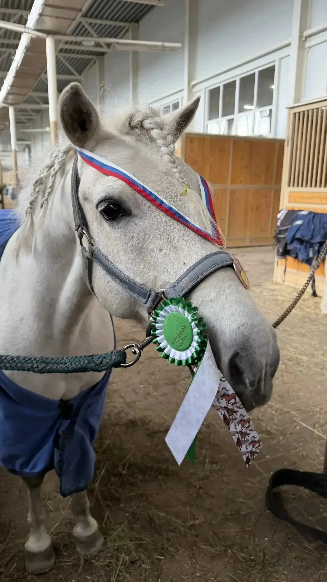 🏇Поздравляем победителей!