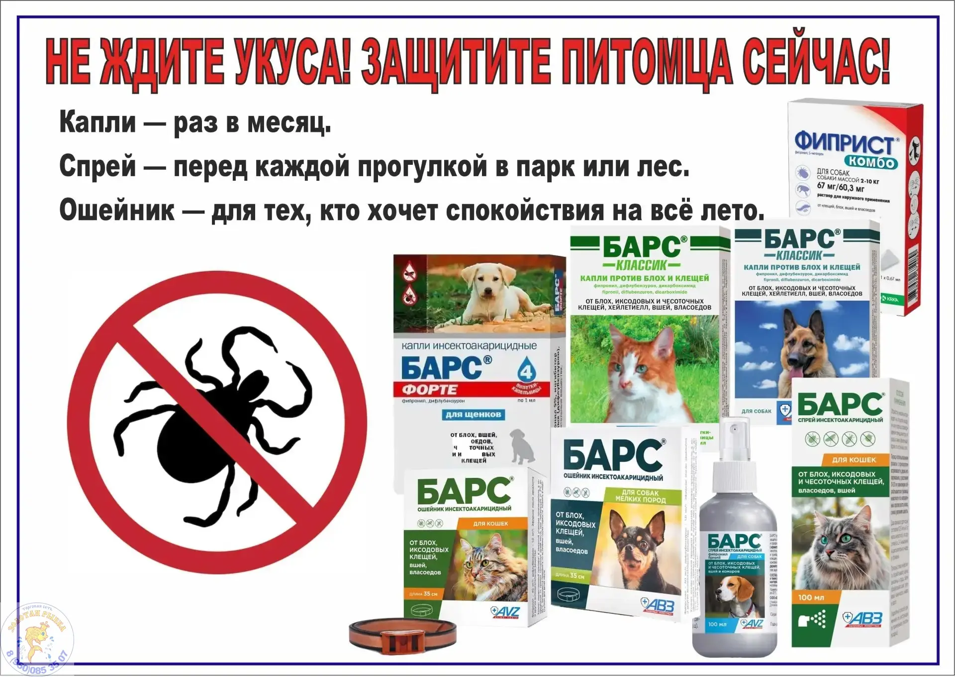 🌟 Защитите своего питомца от клещей и блох прямо сейчас! 🌟