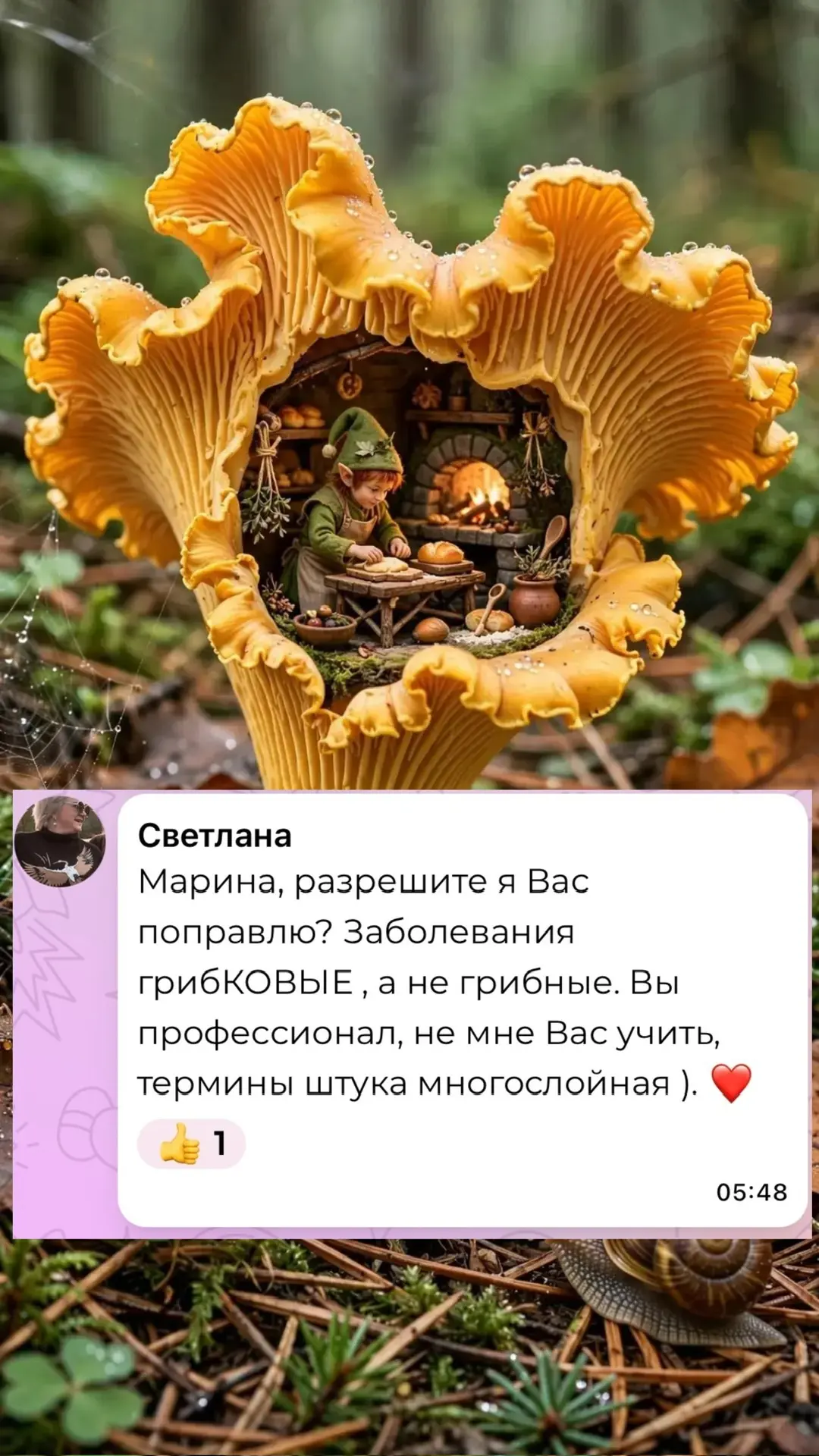 Изображение 2 к публикации «Zacvetet - Все зацветёт»
