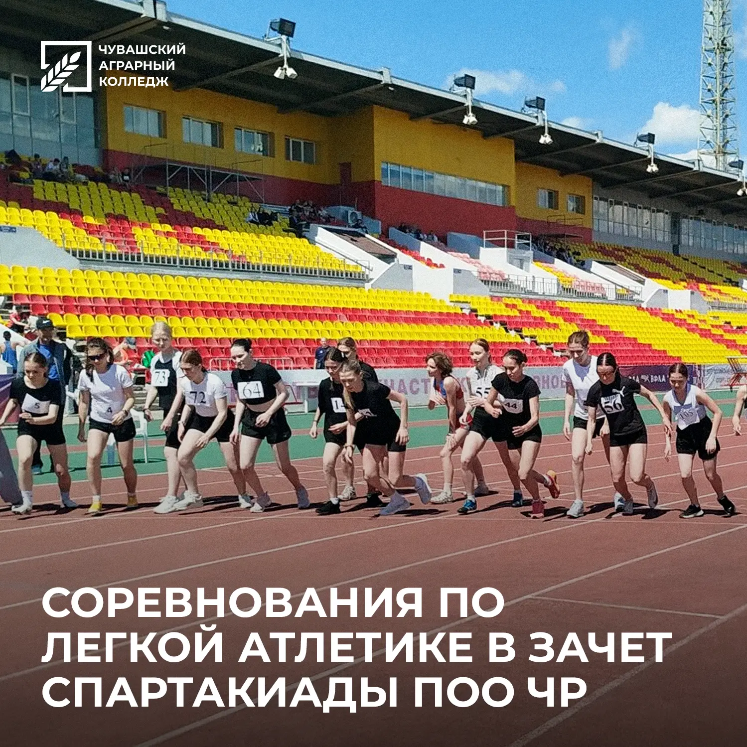 🏃 Студенты колледжей и техникумов со всей Чувашии вышли на беговую дорожку, чтобы побороться за мед