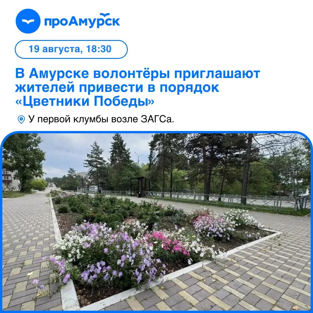 Серебряные волонтёры «ДаДобро» приглашают амурчан присоединиться к прополке «Цветников ...