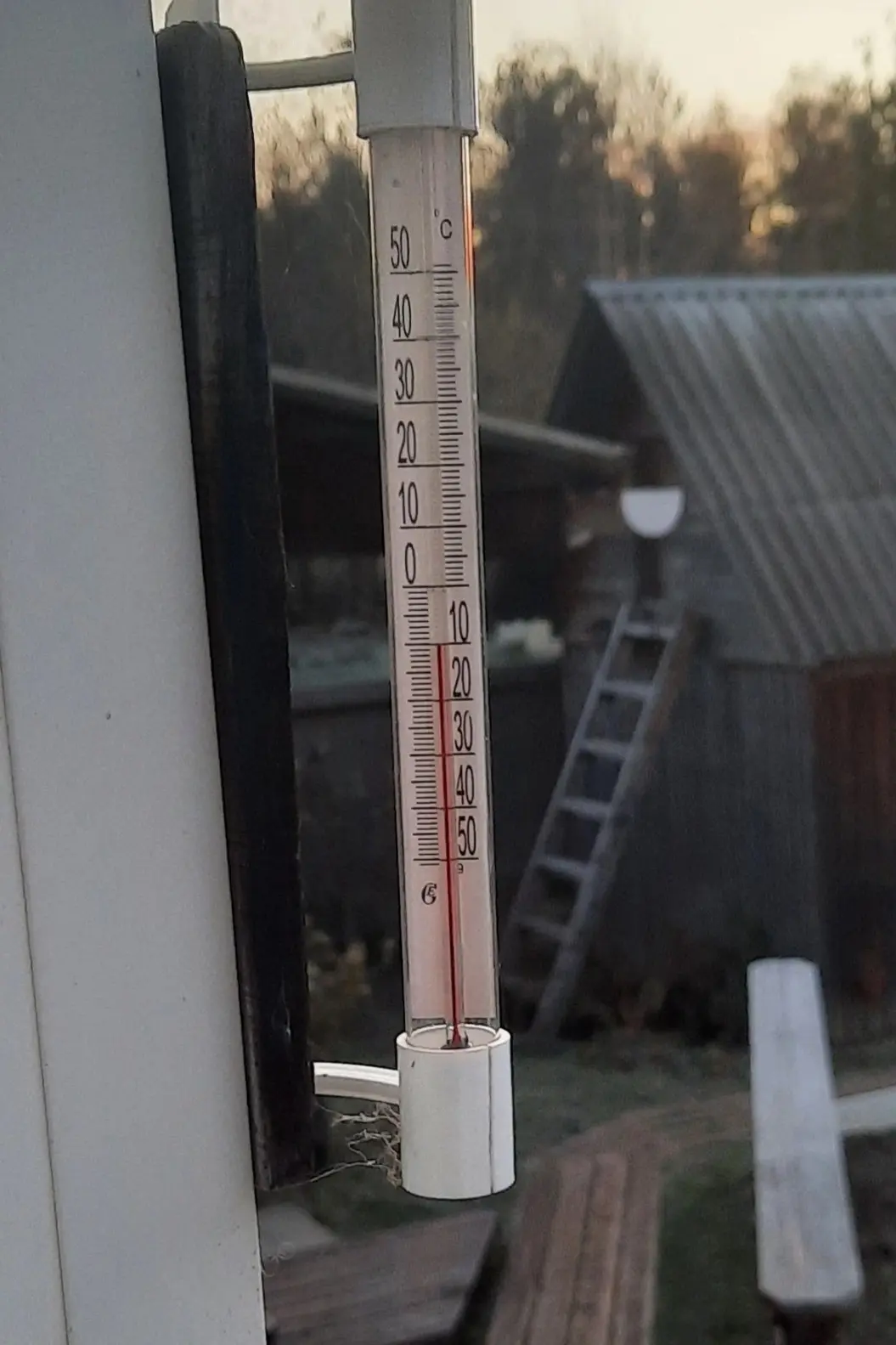 Вельский район. Октябрь. -10°C.
