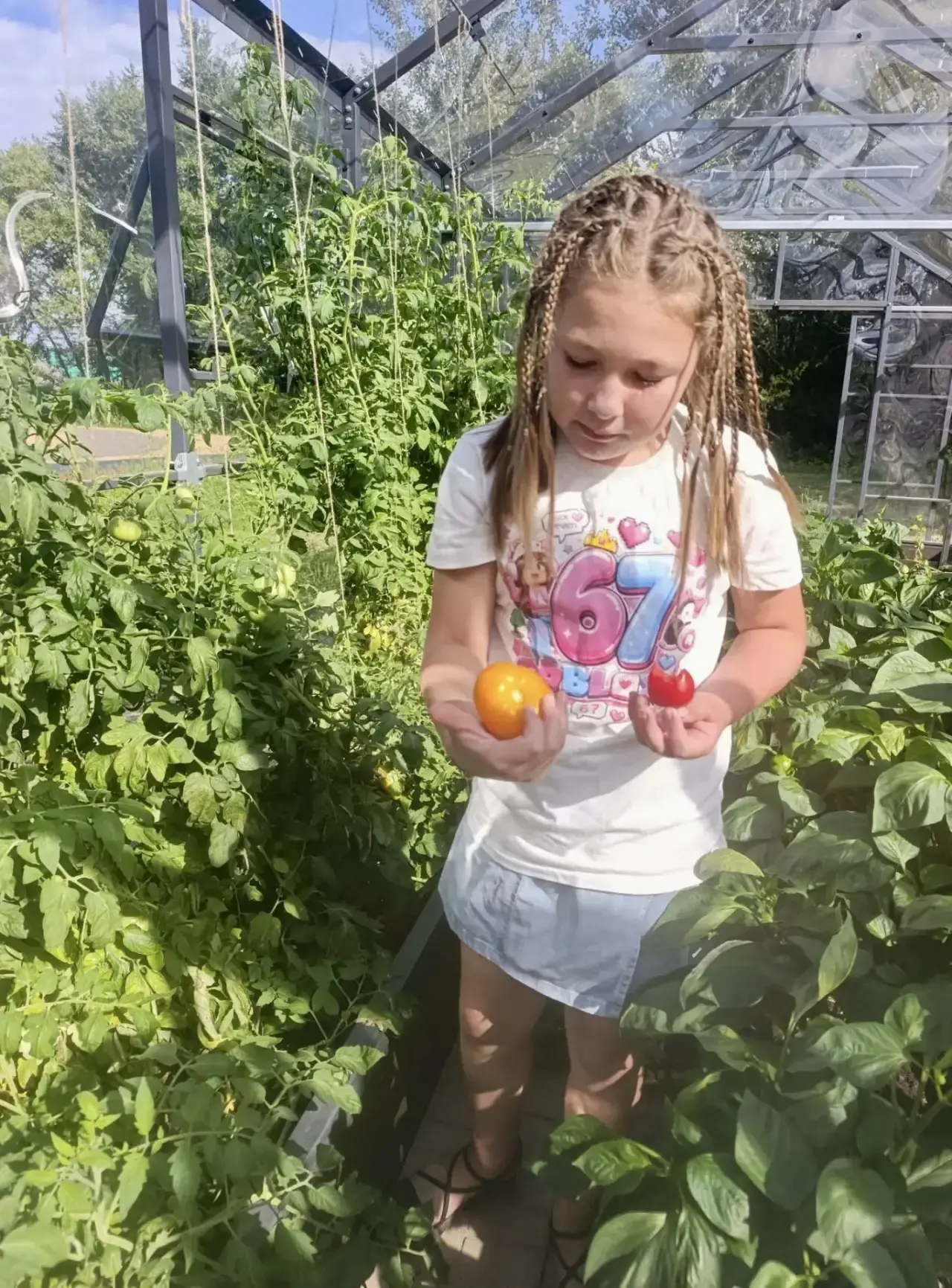 🍅От семечка до урожая: наши агроклассники собрали плоды своего труда!