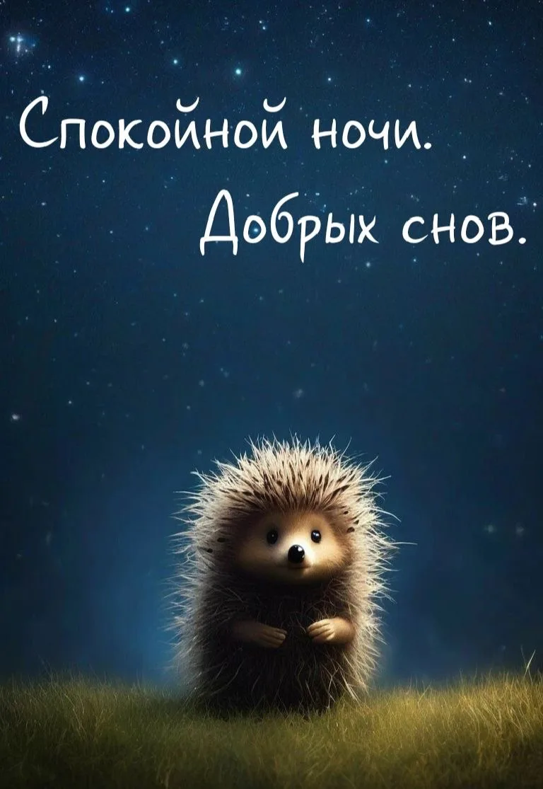 Красивые открытки❤️