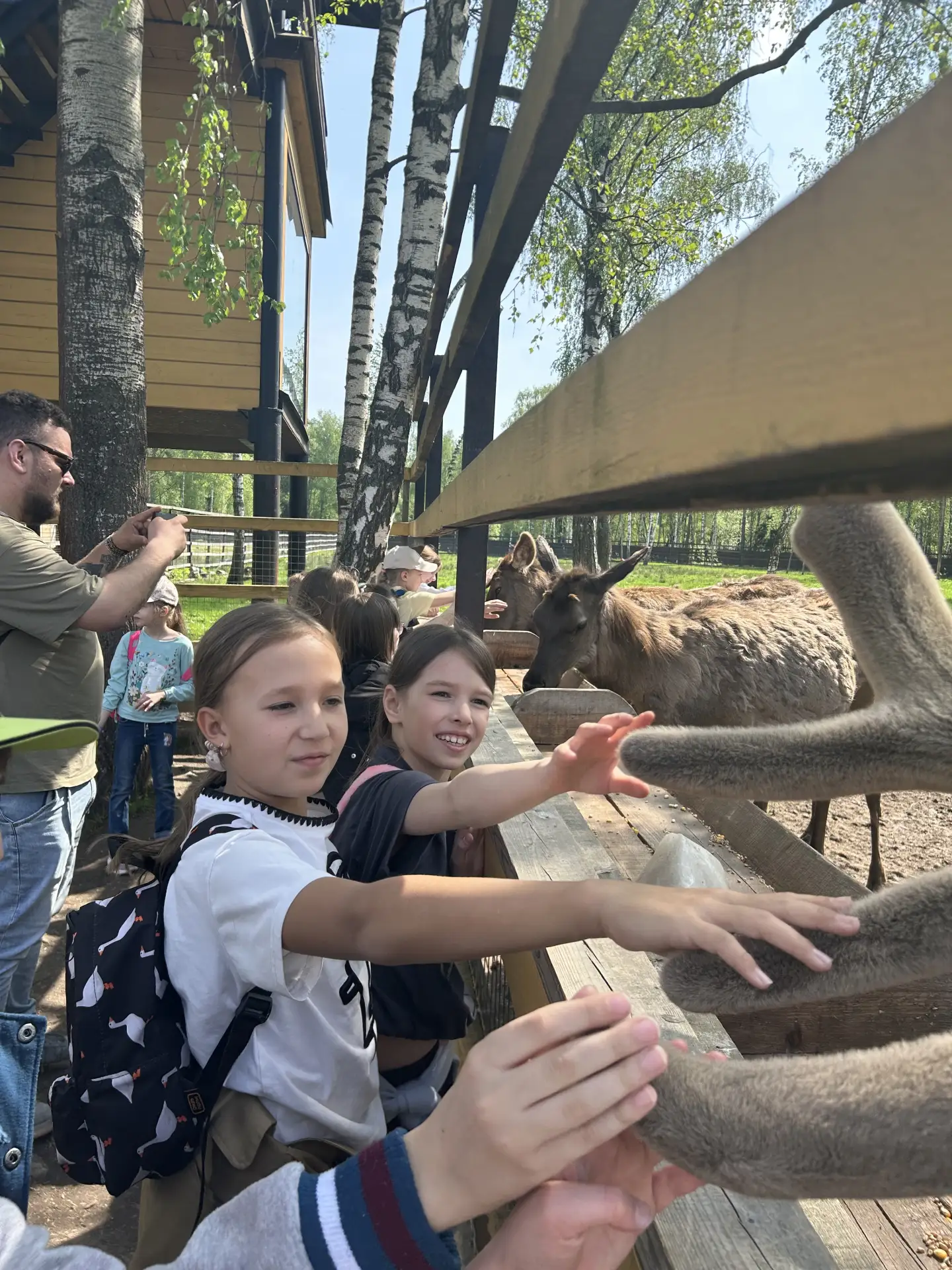 🦌 В гости к лесным великанам  Второклассники нашей школы совершили увлекательное путешествие в Лосин