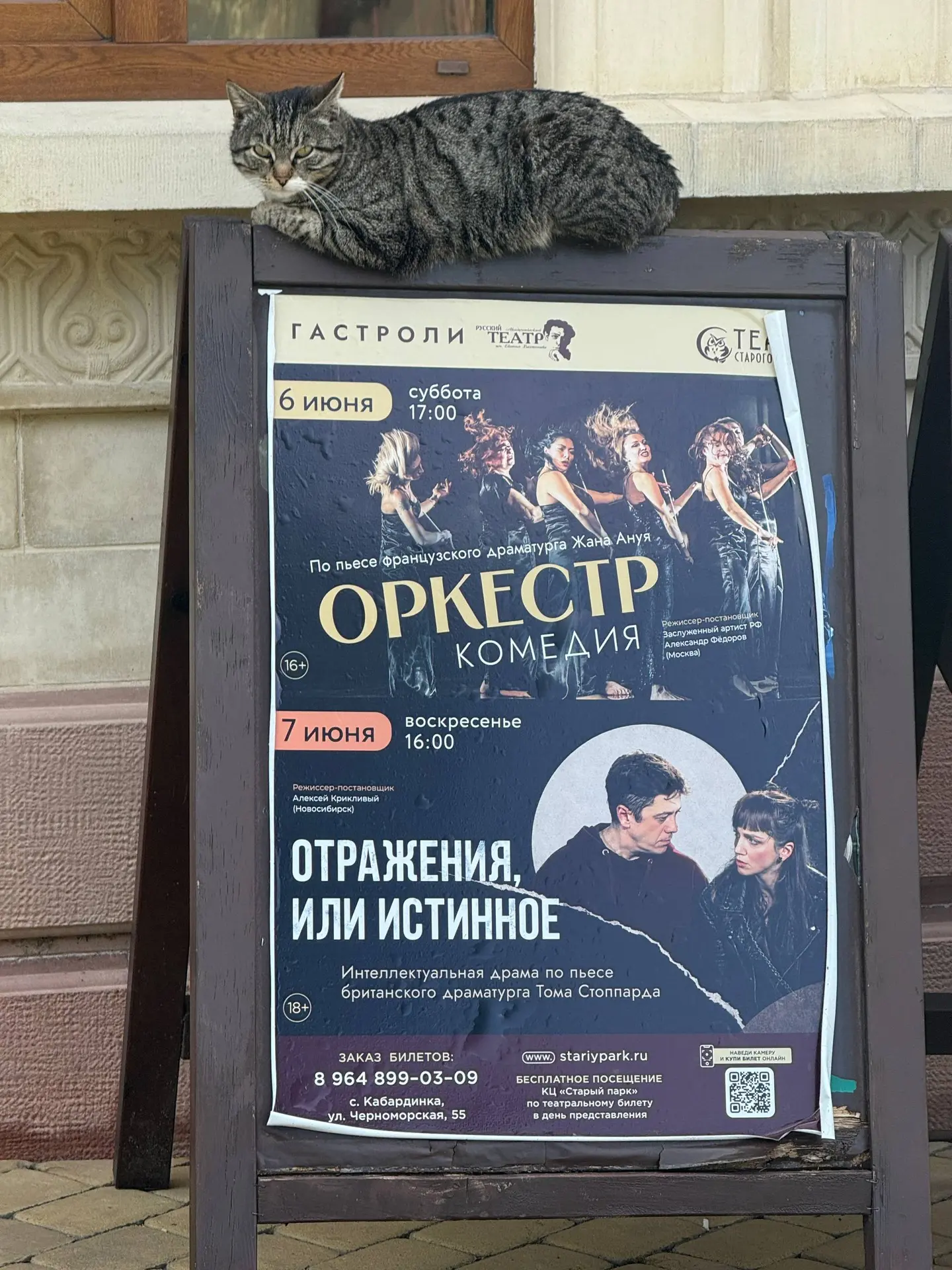 А у нас уже есть зритель, который нас ждёт!😻