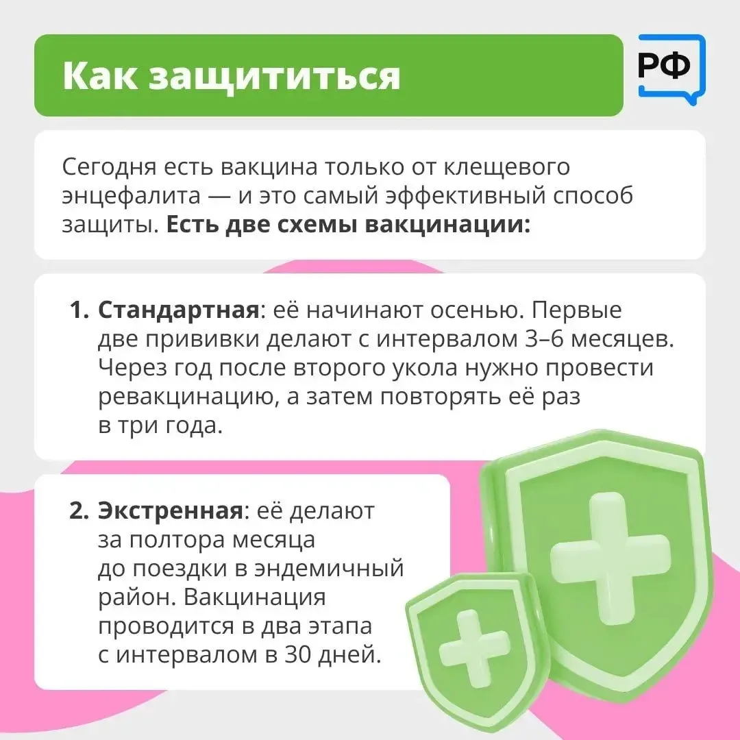 ❗️Клещ - не просто укус! 📅  С ним можно подхватить опасные болезни: боррелиоз (поражает кожу, сердце