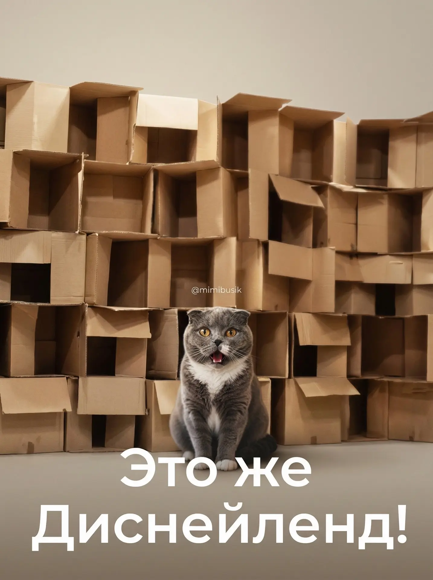«Наташ, ты всё правильно сделала! Заказывай ещё посылок, мне нужно достроить шестой этаж замка!» — Б