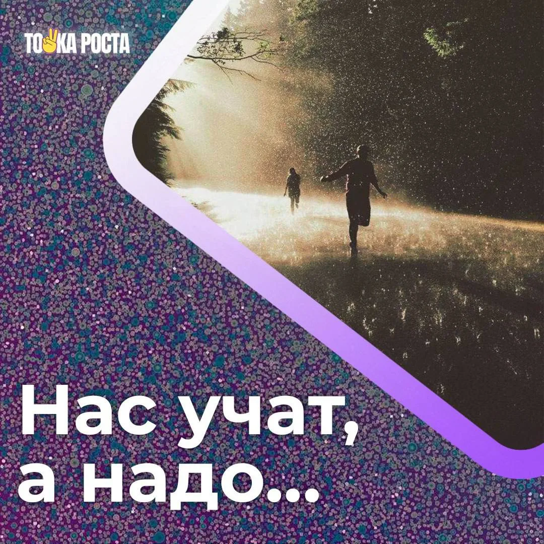 НАС УЧАТ:

Как зарабатывать миллионы и сдохнуть морально по дороге

Как всю жизнь худеть

Как не ора
