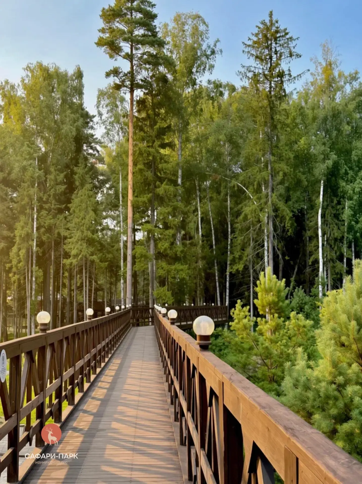 Лето стремительно бежит вперёд, но мы отказываемся верить календарю!  🥲