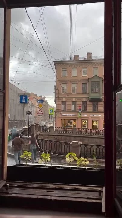 Дожди в Петербурге продлятся , местами выпадет до 20 мм осадков. Улучшение погоды — во ...