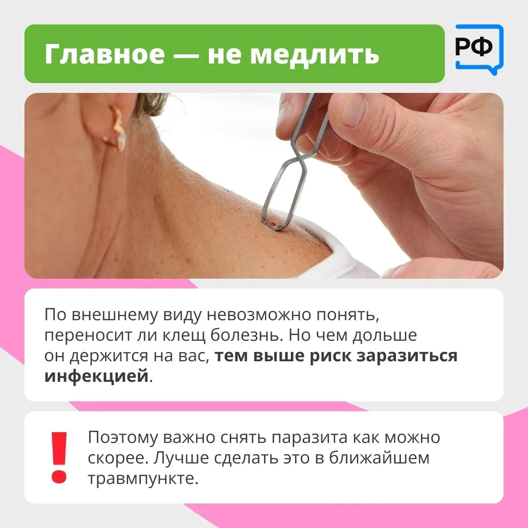 Вместе с клещом можно подцепить опасные болезни. Например, боррелиоз — он затрагивает кожу, сердце и