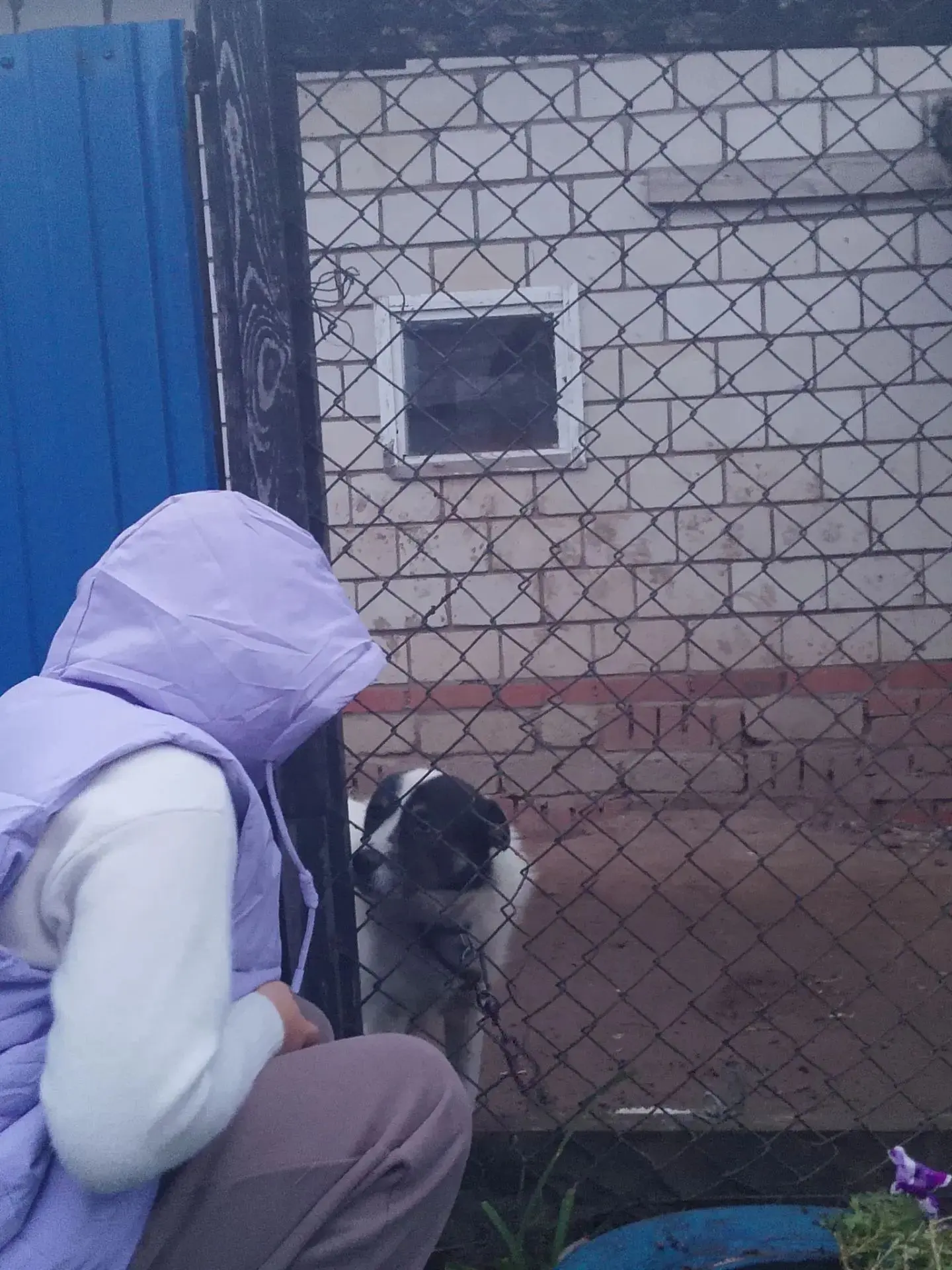 К акции «Мой питомец» присоединились новые участники! 🐾