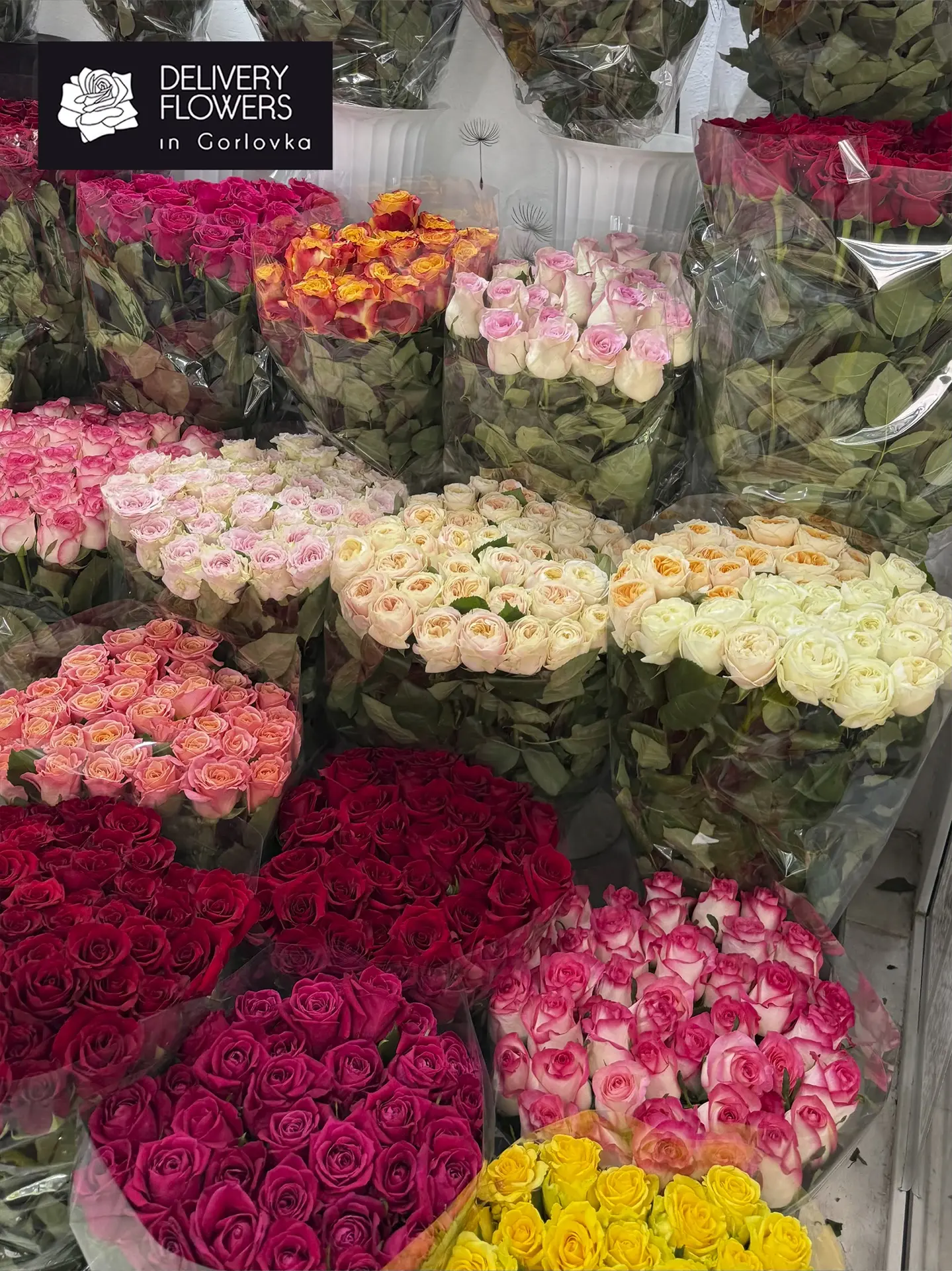 🌸 Новые сорта пионовидных роз + свежие пионы