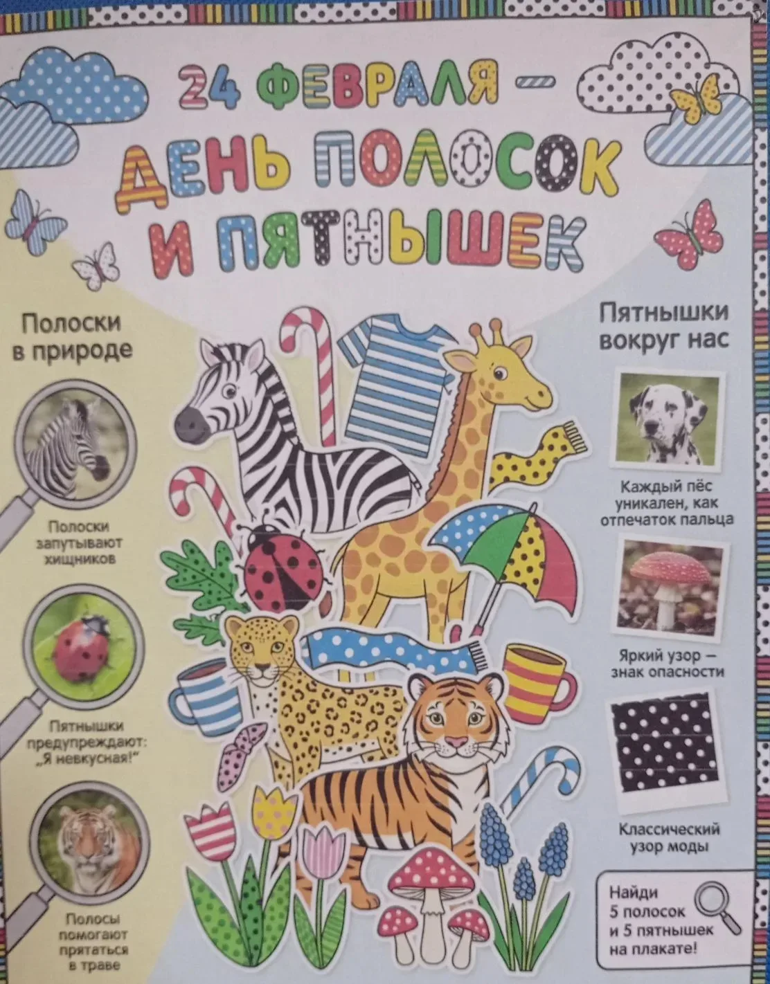 ✨ДЕНЬ ПОЛОСОЧЕК И ПЯТНЫШЕК✨