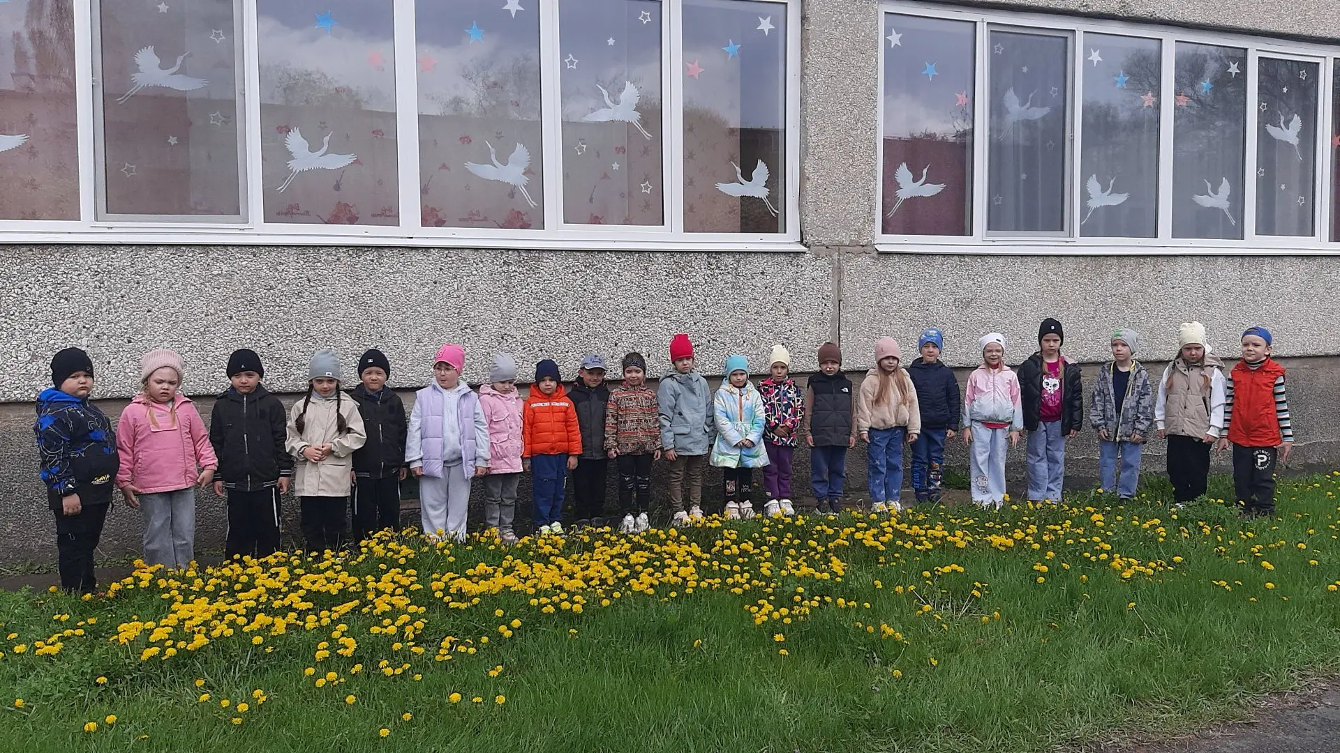 🌼 13 мая – День одуванчика