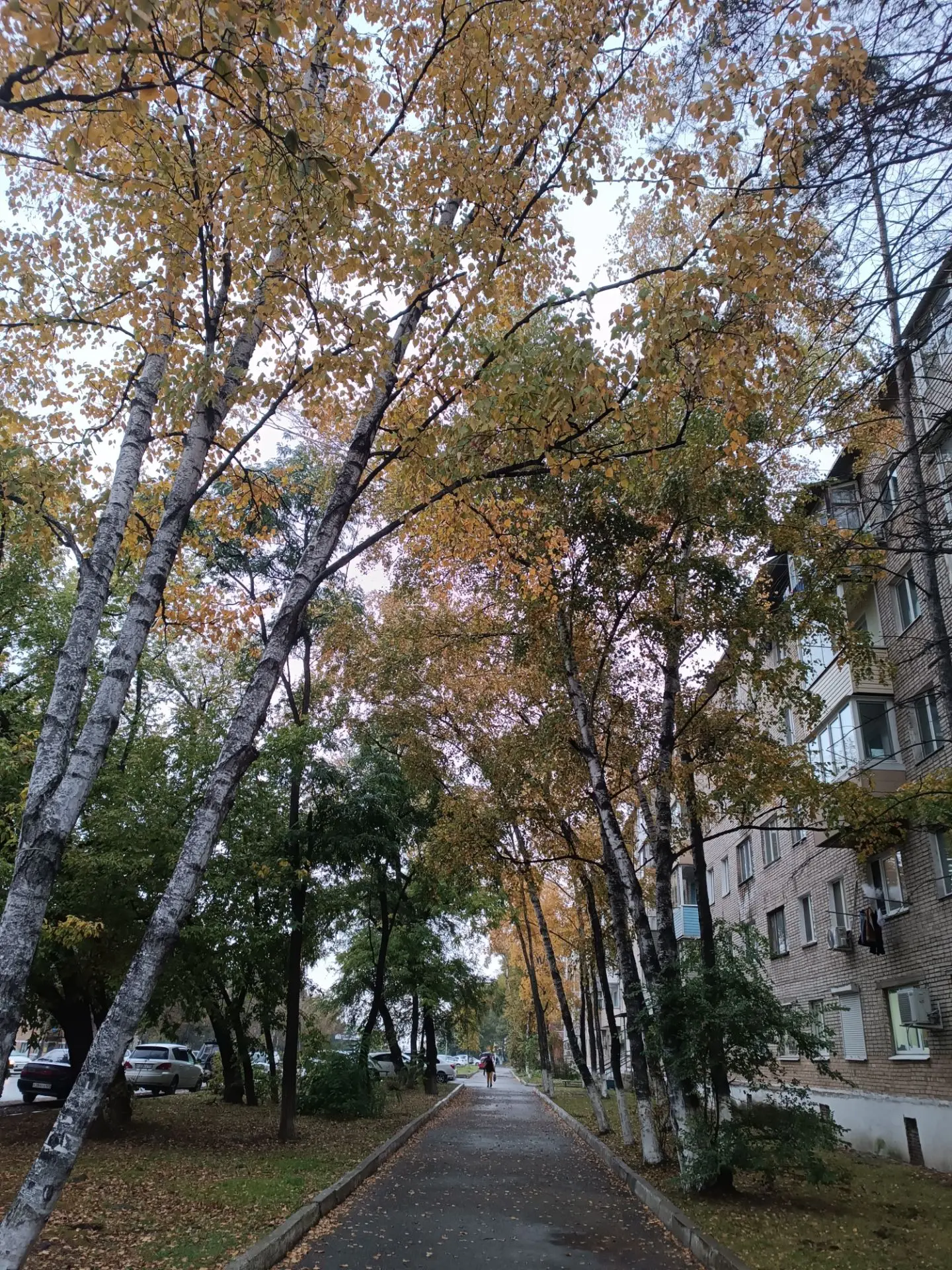 С добрым утром, Лесозаводск!