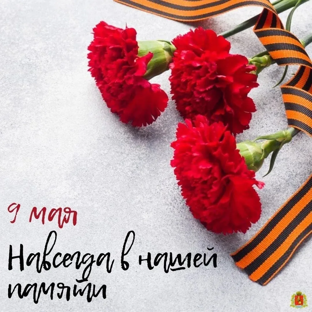 Поздравление Министра образования Владимирской области Светланы Болтуновой с Днём Победы