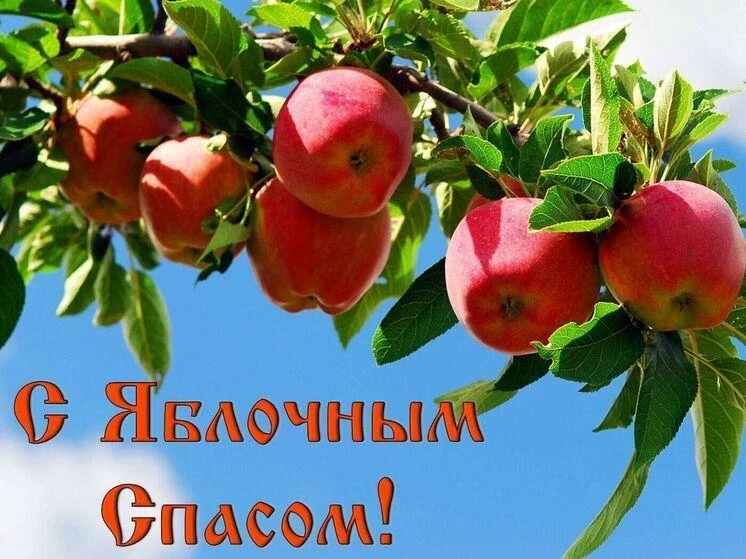 🍏 С праздником Яблочного Спаса