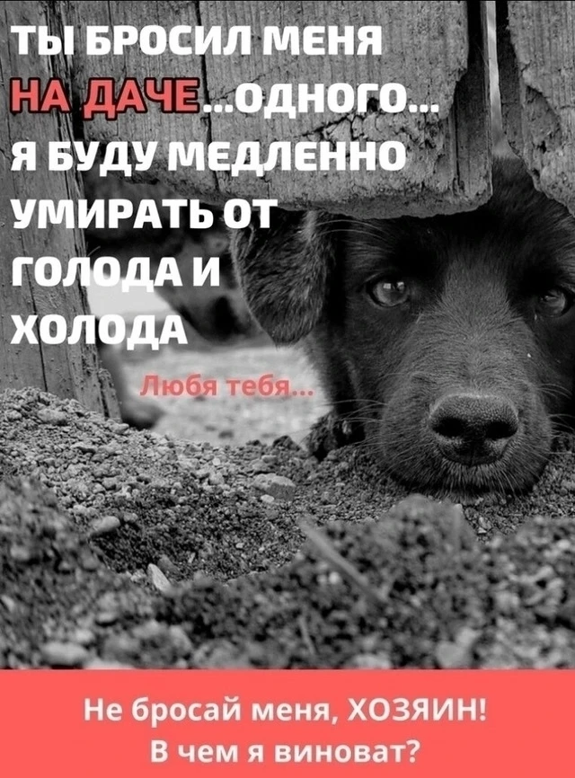 Дачный сезон подходит к концу. Вы увозите обратно домой свои вещи. Но посмотрите внимат...