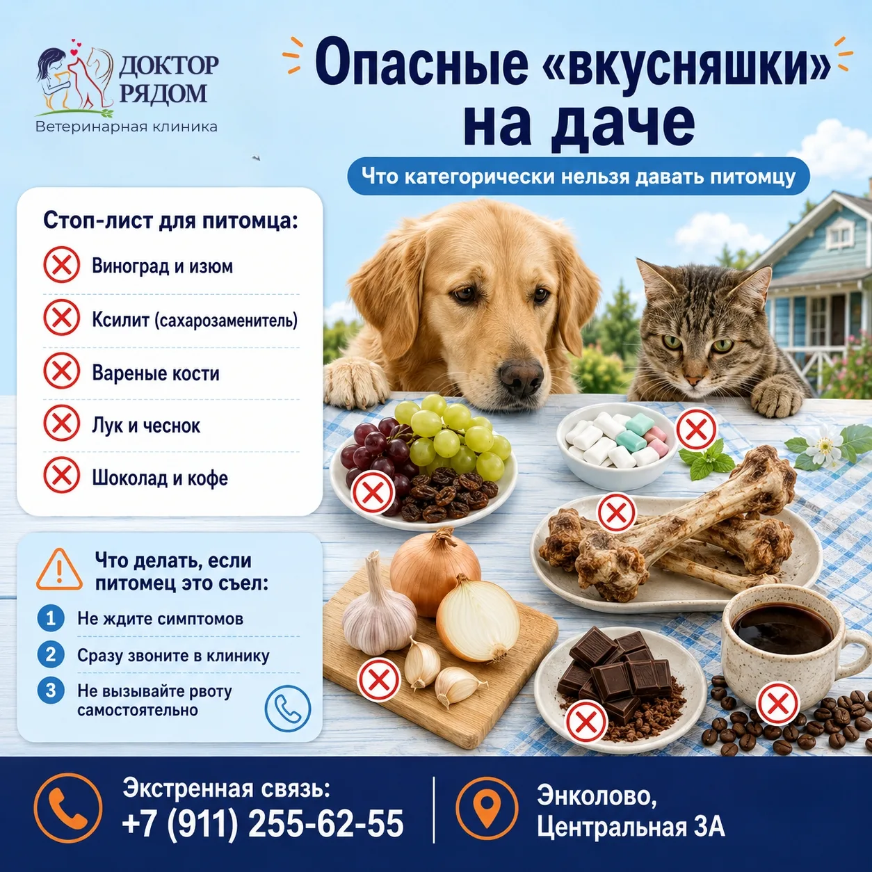 🍇 Опасные «вкусняшки» на даче: что категорически нельзя давать питомцу