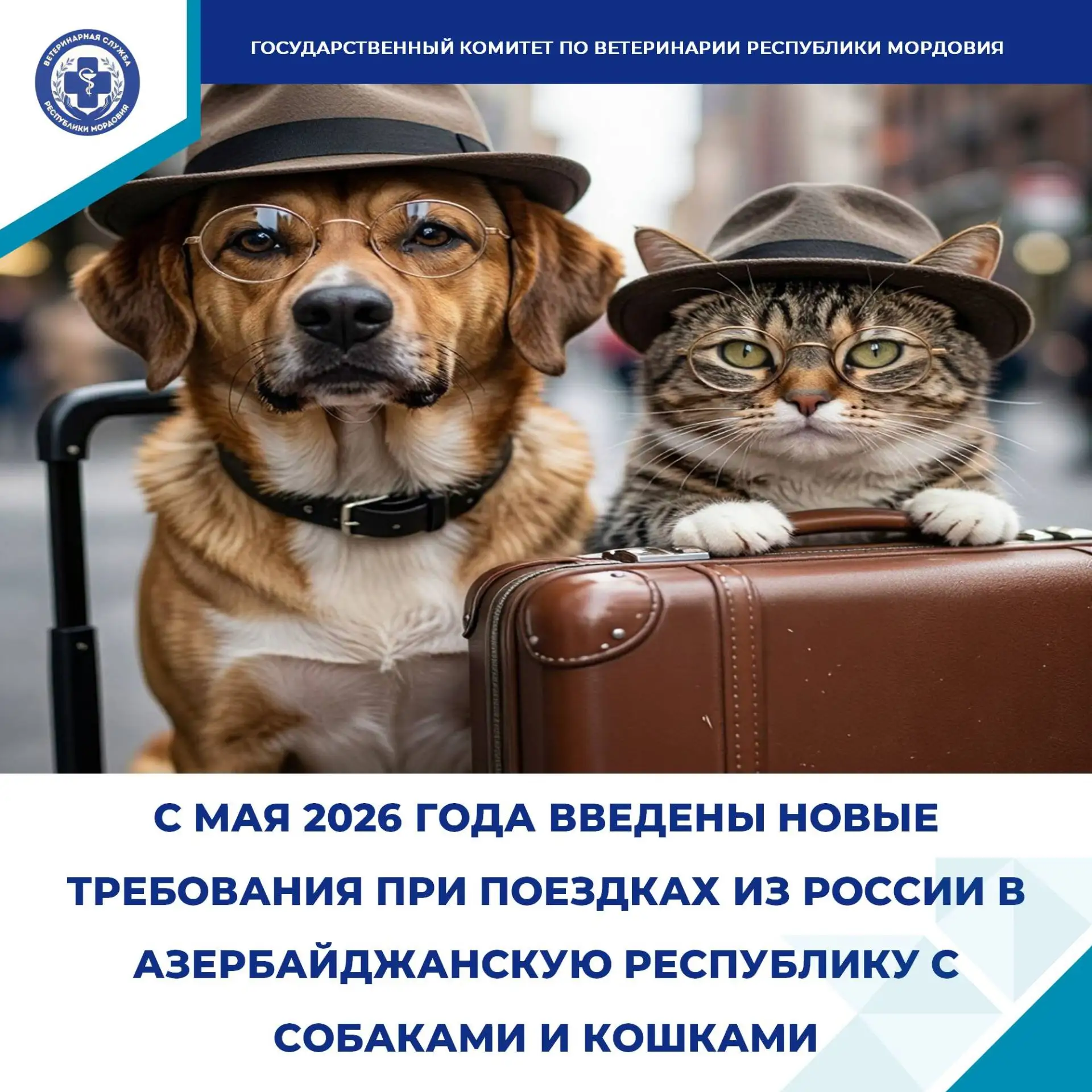 🛩 В соответствии с правилами ввоза домашних питомцев в Азербайджанскую Республику, импорт животных 