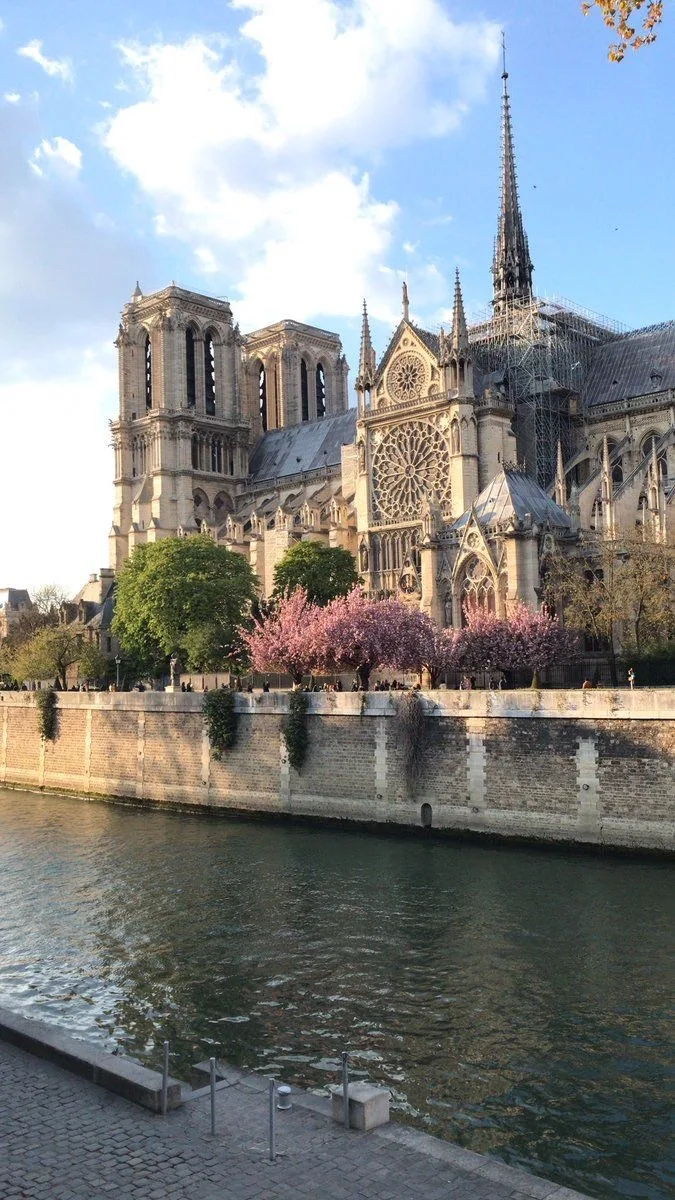 Совсем скоро в нашем клубе мы будем говорить о мюзикле Notre-Dame de Paris. Но давайте ...