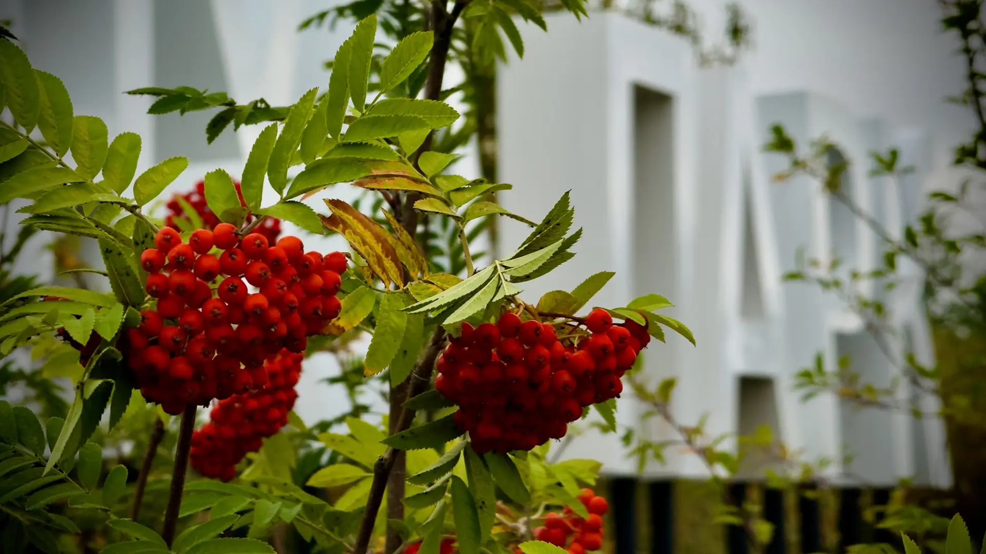 🍂 Пока погода радует — не упустите шанс прогуляться!