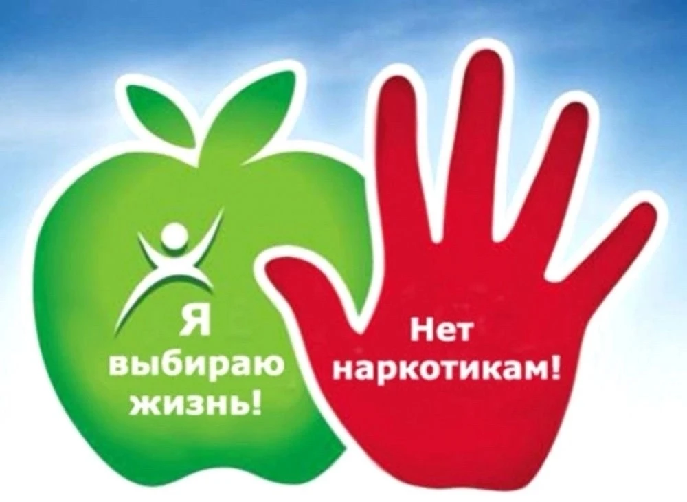 Я выбираю жизнь! 

Информационные материалы предоставлены администрацией города Мурманска в рамках р