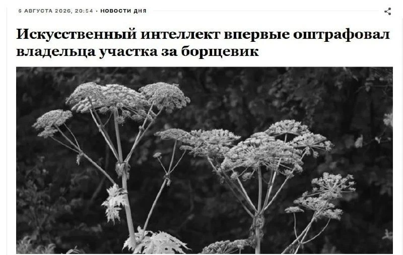 ‼️Первый штраф за борщевик с участием ИИ получил россиянин — жителя оштрафовали на 150 ...