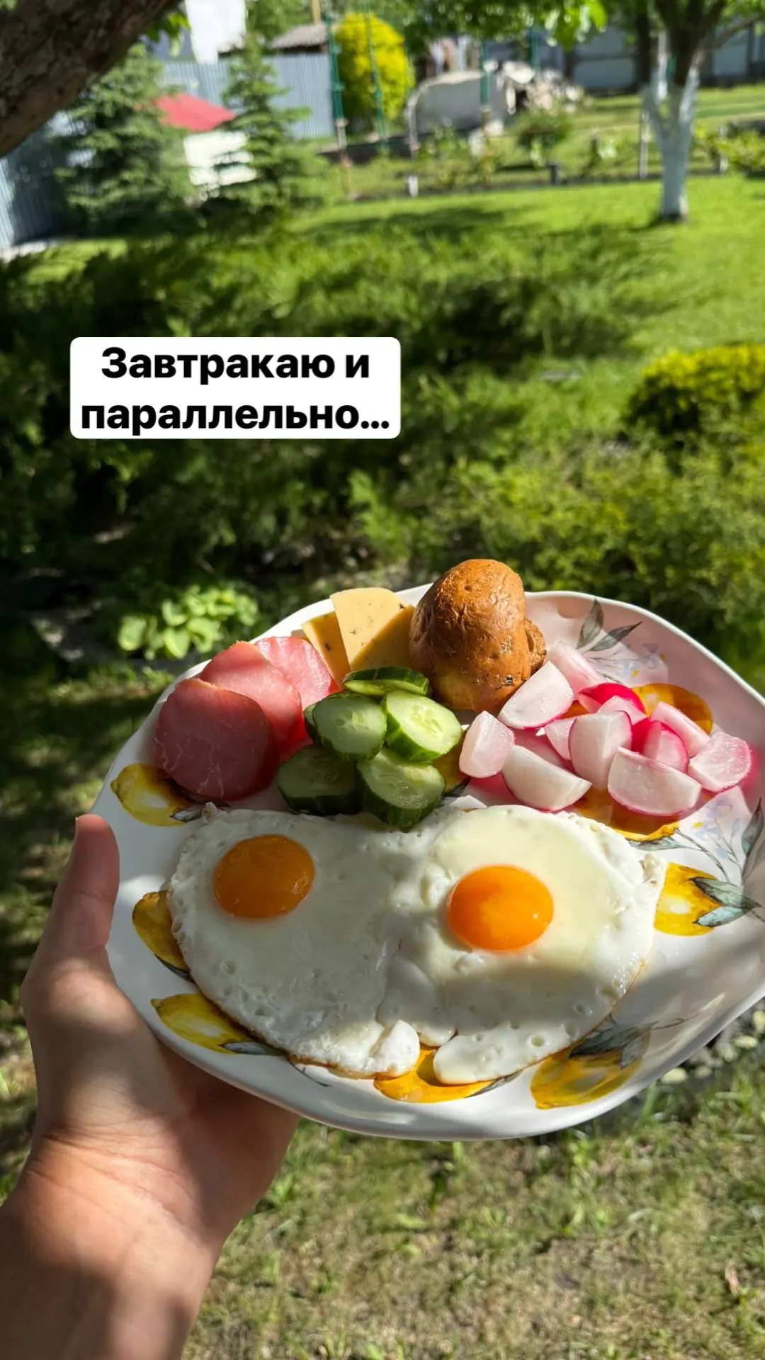 Доброе утро, мои дорогие любители пастилы и других полезных сладостей 🤗  Как прекрасно поют сегодня 