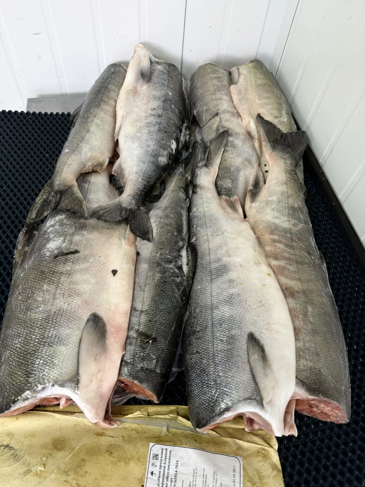 ✅ Кета БГ 2026 , 1 сорт