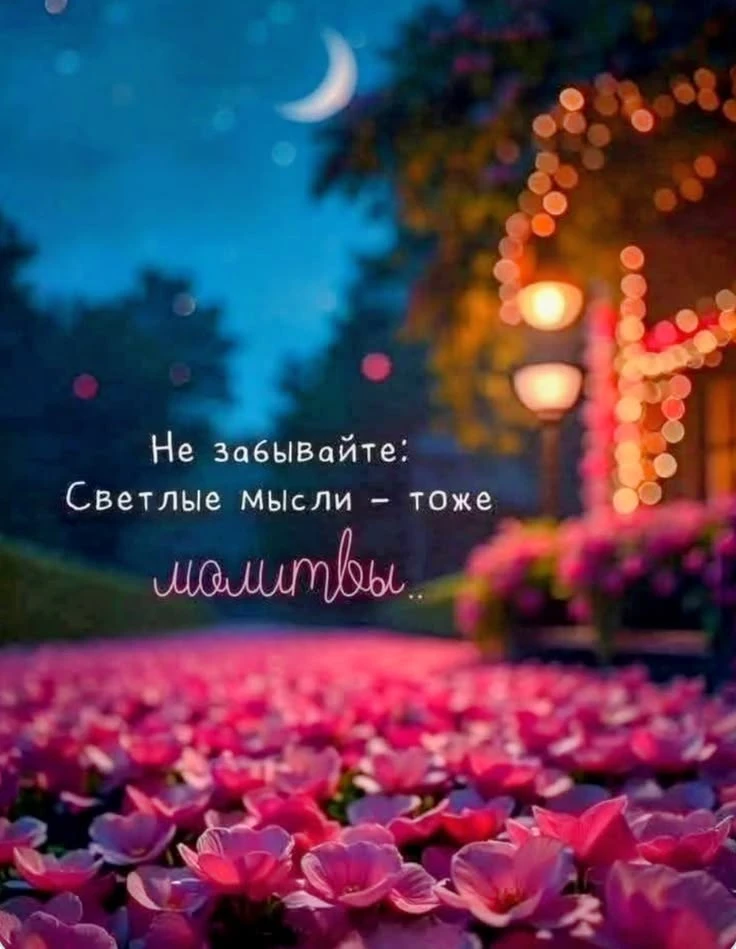https://max.ru/invista123456