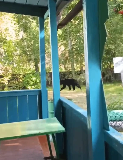 Как тут не закуришь на станции Курят 🐻 анон