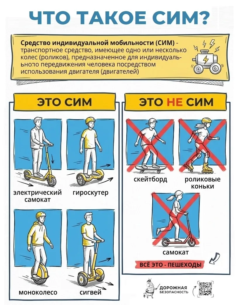 ✨Профилактика ДДТТ