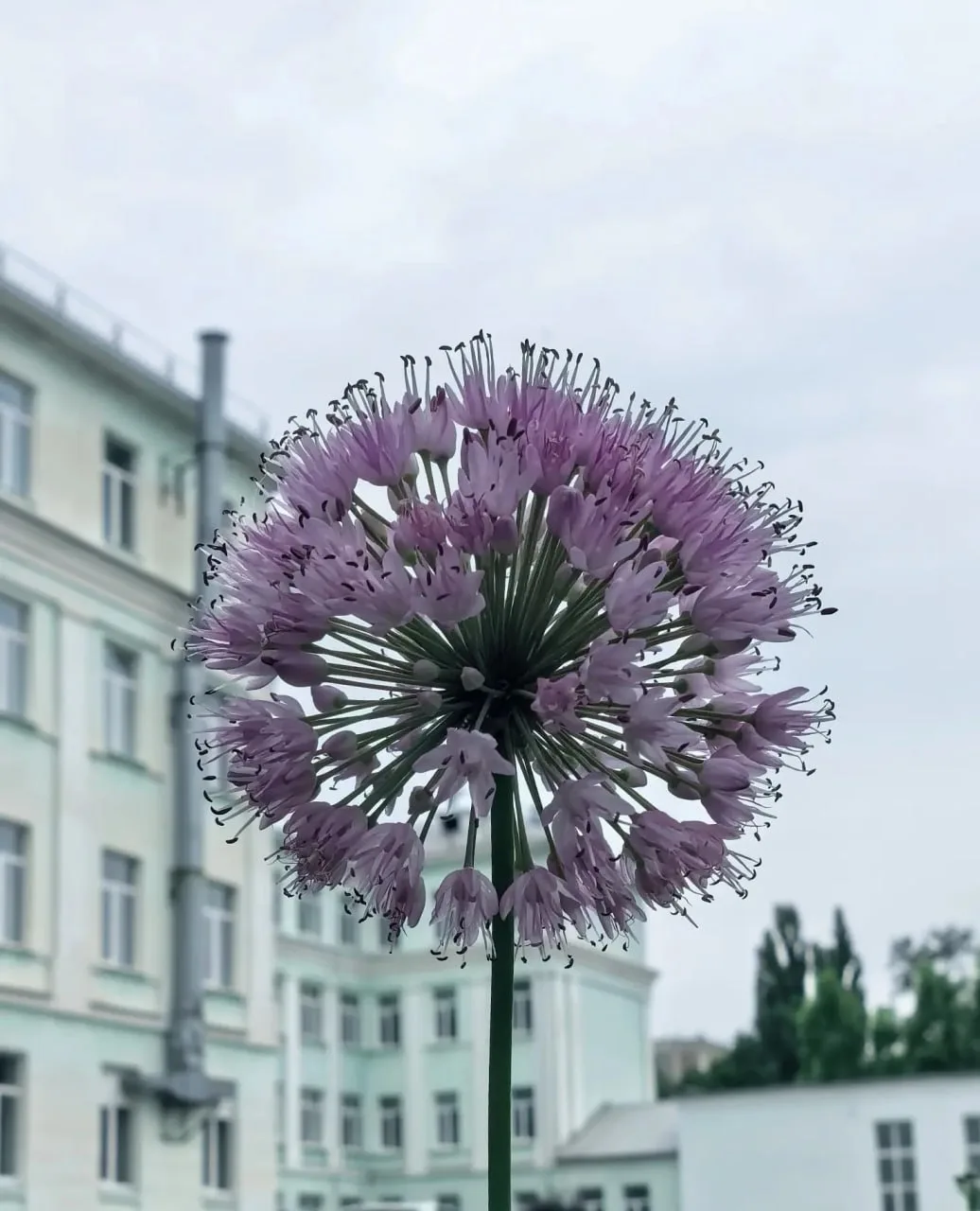 Доброе утро!

Сегодня ясно, днем до 30°C ☀️

Пусть этот день начнётся с хороших мыслей и продолжится