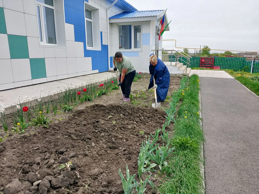 Перекапывание клумб и посадка цветов.