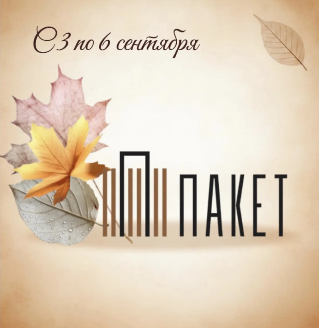 Осенний пакет витаминов! 🍁