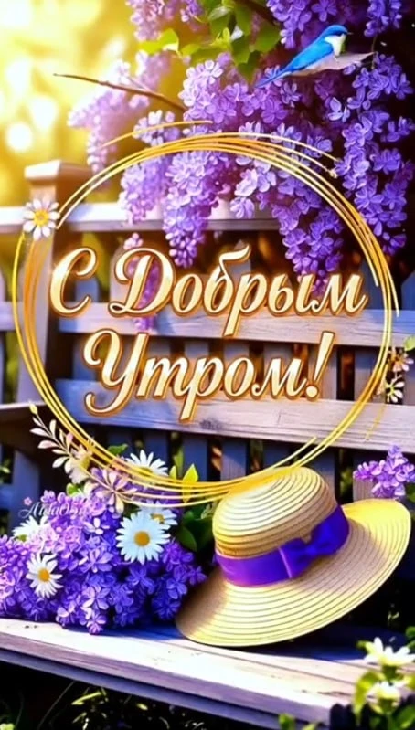 🙂 Доброе утро!🌷



☀️✨🟢✨☀️

МЫ в МАХ - подписаться.

❤️ Фабрика Поздравлений
📌#доброеутро