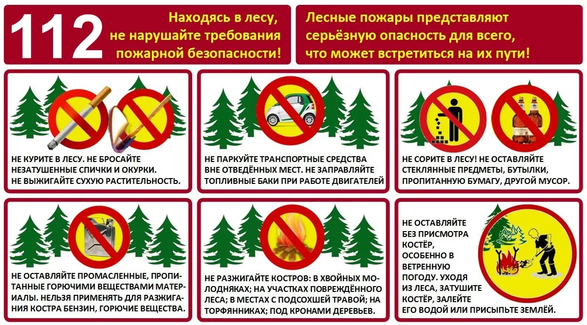 🔥 ОСТАНОВИСЬ. ПОДУМАЙ. НЕ СДЕЛАЙ БОЛЬНО ЛЕСУ.

Честно, многие из нас даже не задумываются, чем обор