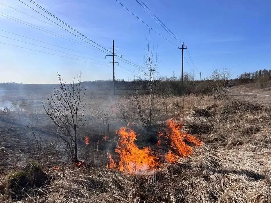 ⚠️ Уважаемые арендаторы и пользователи земельных участков!