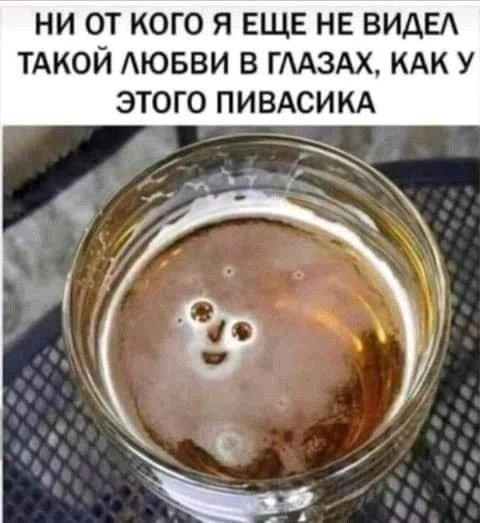 Записки алкоголика🥃 | Мы в MAX