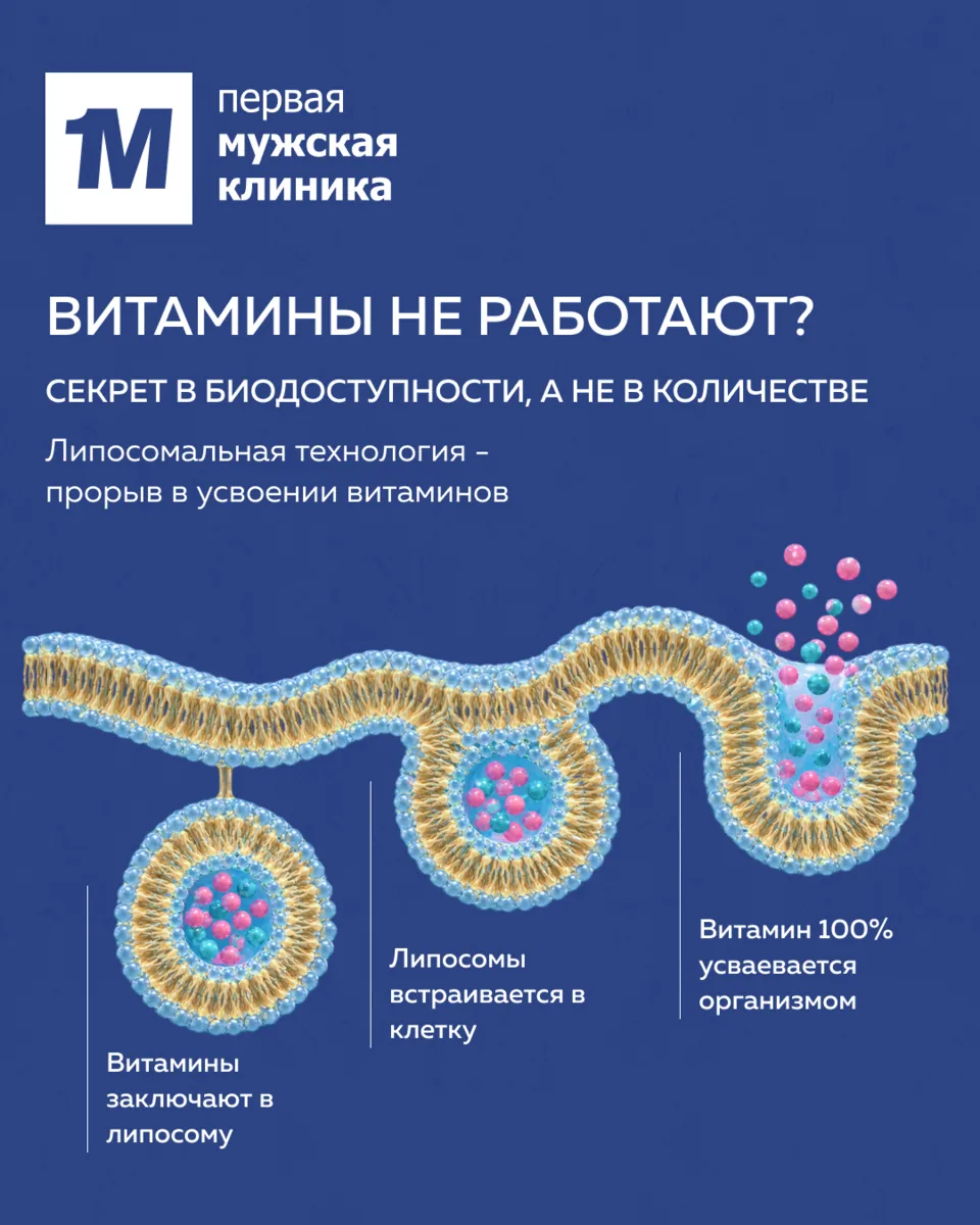 ✨ Мы расширили ассортимент нутритивной поддержки. Теперь в клинике можно приобрести лип...