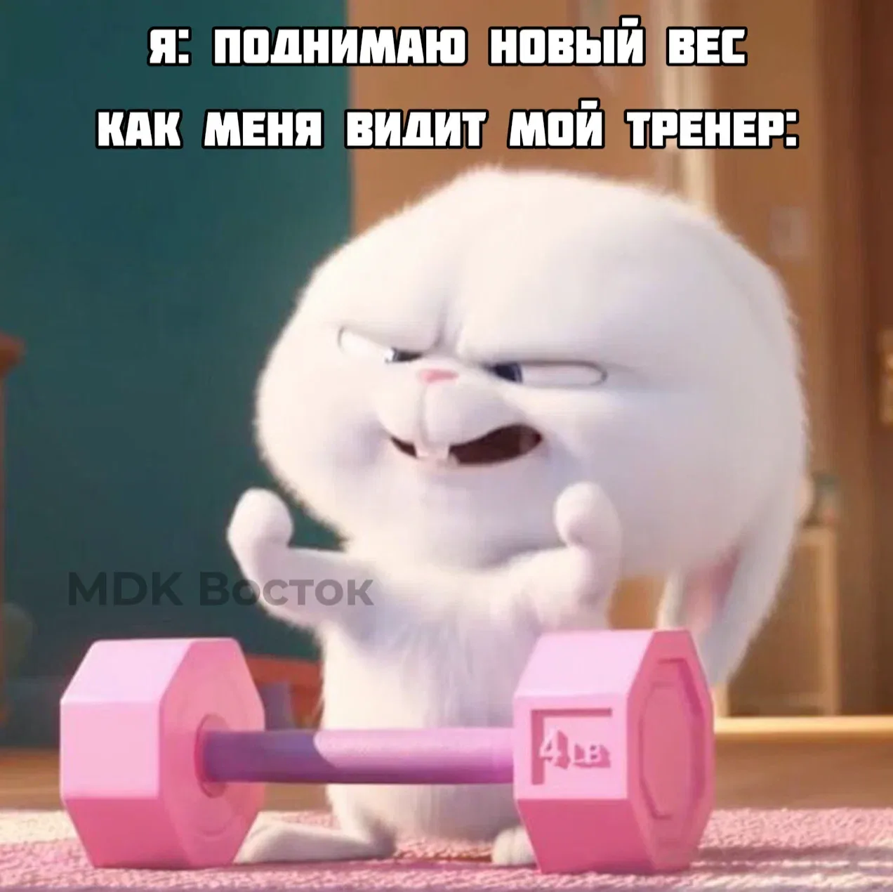 Я уже чувствую себя Шварцем

Подписаться в МАХ