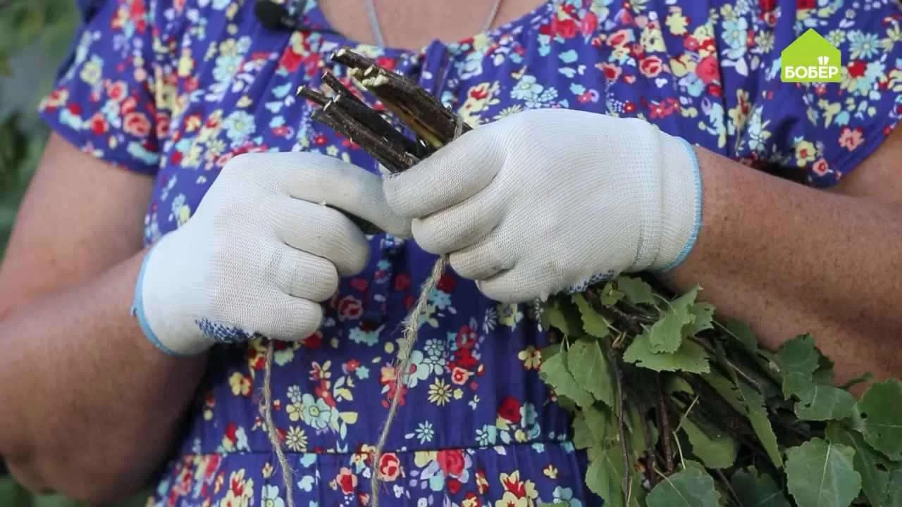 ЗАГОТАВЛИВАЕМ ВЕНИКИ

Показываем 2 способа вязки веников. Сохраняйте в избранное 💚